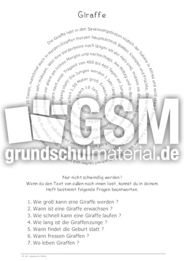 Giraffe.pdf